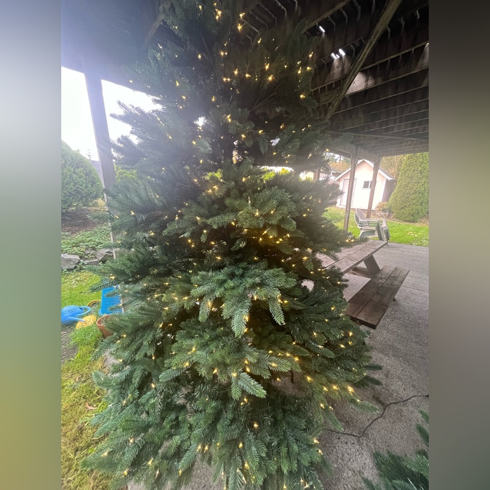 10’ Christmas Tree I was gifted this last year. I can’t fit it in my home.